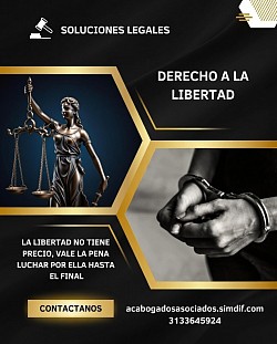 Consultores